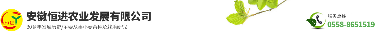 安徽恒進(jìn)農(nóng)業(yè)發(fā)展有限公司